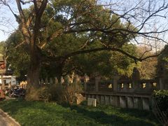 -汇龙潭