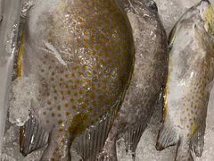 -Isla Sugbu Seafood City