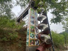 -欢乐松鼠谷