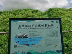 -华侨城湿地公园