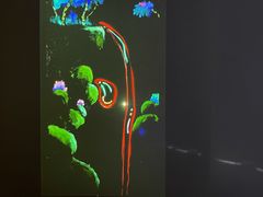 -Nathalie Djurberg与Hans Berg“牛皮纸包裹的月亮”-Prada荣宅当季展览