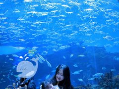 -海合安成都极地海洋公园