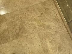 -上海宝华万豪酒店