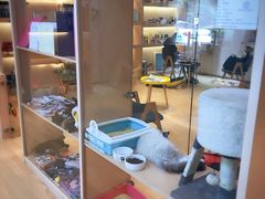 -Pets First伊珊娜洗护·精致美容·家庭式寄养(新会路店)