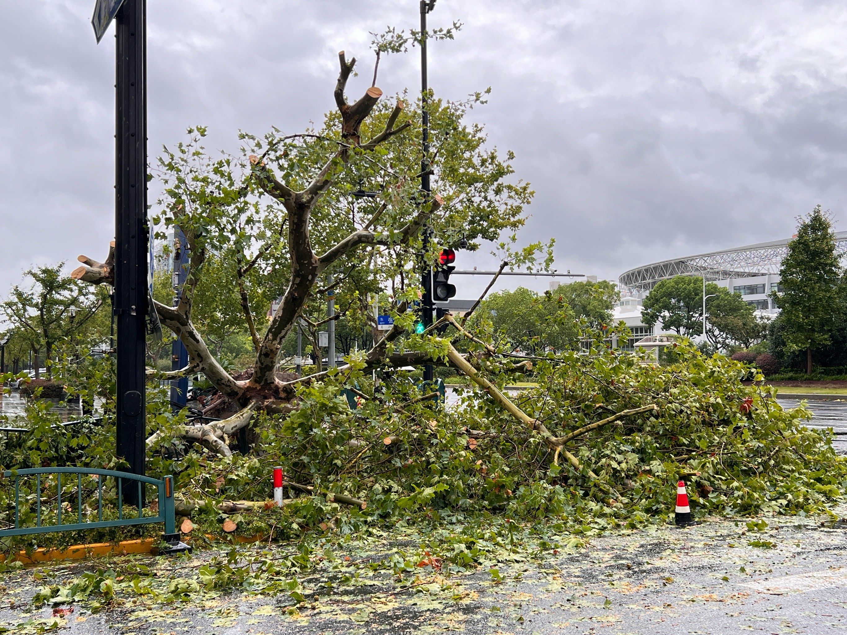 台风来袭后的街景