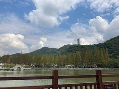 -黄贤森林公园