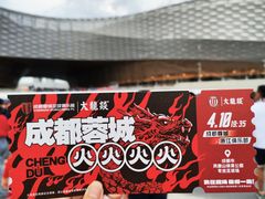 -大龙燚火锅(春熙店)