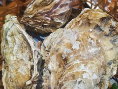 -蚝堡海鲜·威海菜·海肠捞饭·烧烤·亚洲吃蚝公司(幸福门店)