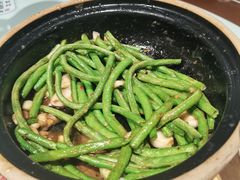 -顺德杨廷记(白云山店)