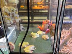 -三旗百汇商品城