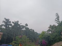 -重庆海昌加勒比海水世界