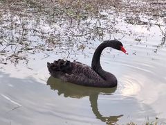 -福建鲤鱼洲酒店