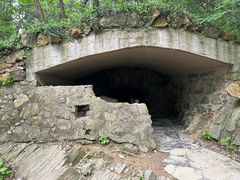 -上海佘山国家森林公园天马山园