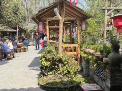 -青城甲(青城山店)