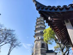 -苏州上方山国家森林公园