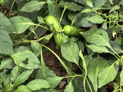 -仙海旅游度假区