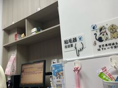 -宠物星动物医院·眼科·异宠·猫科(江南大道总院)