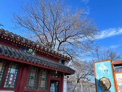-北京鹫峰国家森林公园