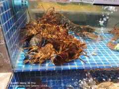 -味钱塘·钱塘渔鲜·地道江浙菜(宋城店)