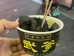 武爹特制臭豆腐-武爹臭豆腐(坡子街店)
