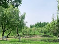 -贡湖湾湿地公园