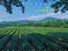 -中国茶叶博物馆(双峰馆区)