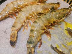 -熊出没日本烧肉放题