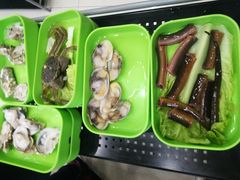 -蚝专家