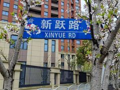 -高东镇樱花园