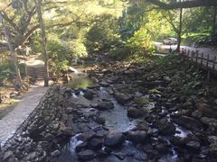 -广州市石门国家森林公园