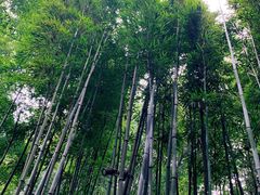 -成都杜甫草堂博物馆