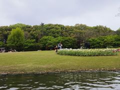 -上海方塔园