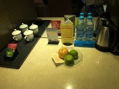 -东方帝景假日酒店