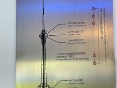 -中央电视塔旋转餐厅