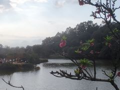 -南国桃园旅游度假区