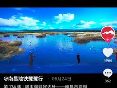 -麦当劳(南昌青山湖万达广场店)