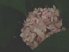 -秘密小花园(第三中学店)
