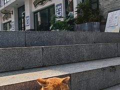 -荔湾湖公园