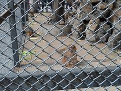 -长白岛森林公园