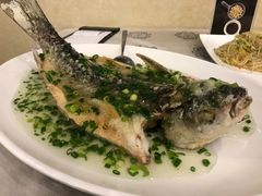 -岭南海晏楼(东晓南店)