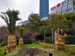 -北外滩滨江绿地