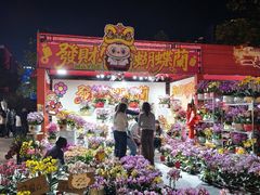 -文华公园(禅城区)