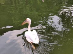 -昆明动物园