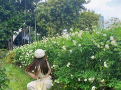 -人民公园(罗湖区)