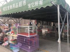 -中环花鸟鱼虫市场