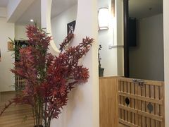 -柴犬小屋·柴餐厅·狗咖食堂(金鼎广场店)