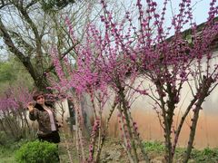 -潜口民宅博物馆