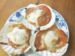 经典芝士日式青芥扇贝-炒豆合作社(东四总店)