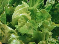 -手选潮汕鲜牛肉火锅(二七广场店)