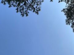 -南京市无想山景区